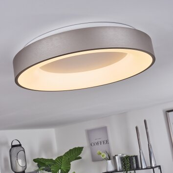 Plafonnier Playas LED Argenté, Blanc, 1 lumière