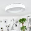 Plafonnier Playas LED Blanc, 1 lumière