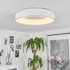 Plafonnier Playas LED Blanc, 1 lumière