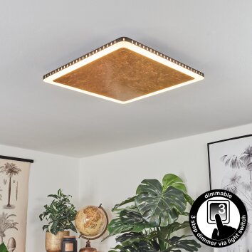 Plafonnier Guacacallo LED Or, Noir, Blanc, 1 lumière