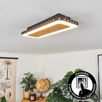 Plafonnier Guacacallo LED Or, Noir, Blanc, 1 lumière