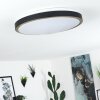 Plafonnier Kelva LED Vieux laiton, Noir, Blanc, 1 lumière