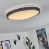 Plafonnier Kelva LED Vieux laiton, Noir, Blanc, 1 lumière