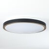 Plafonnier Kelva LED Vieux laiton, Noir, Blanc, 1 lumière