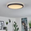 Plafonnier Kelva LED Vieux laiton, Noir, Blanc, 1 lumière