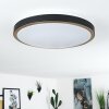 Plafonnier Kelva LED Vieux laiton, Noir, Blanc, 1 lumière