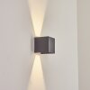 Applique murale d'extérieur Anobra LED Anthracite, Blanc, 1 lumière