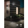 Applique murale d'extérieur Trio Avon LED Anthracite, 1 lumière, Détecteur de mouvement