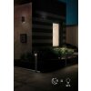 Applique murale d'extérieur Trio Avon LED Anthracite, 2 lumières, Détecteur de mouvement