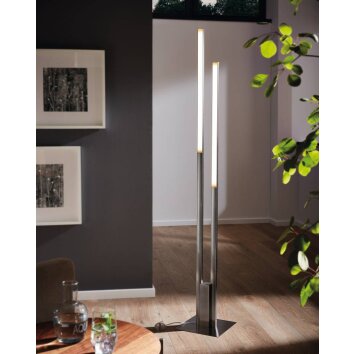 Lampadaire Eglo FRAIOLI-Z LED Nickel mat, 2 lumières, Changeur de couleurs