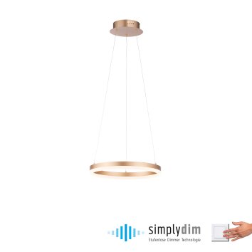 Suspension Leuchten-Direkt TITUS LED Laiton, 1 lumière