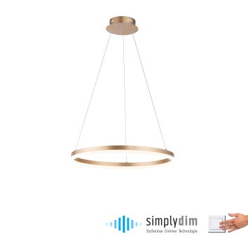 Suspension Leuchten-Direkt TITUS LED Laiton, 1 lumière