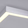 Plafonnier Paul Neuhaus PURE-LINES LED Aluminium, 1 lumière, Télécommandes