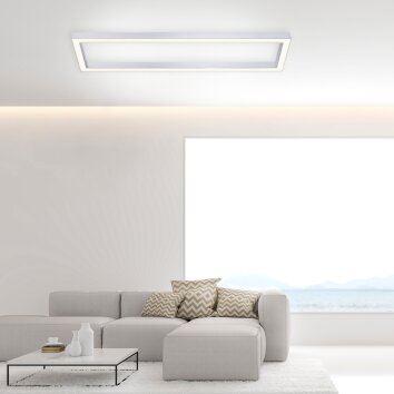 Plafonnier Paul Neuhaus PURE-LINES LED Aluminium, 1 lumière, Télécommandes