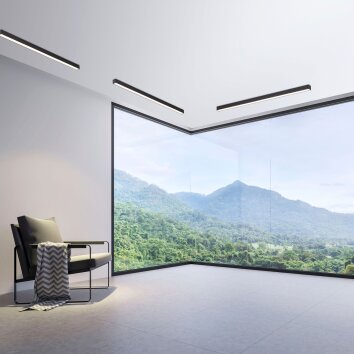 Plafonnier Paul Neuhaus PURE-LINES LED Anthracite, 1 lumière, Télécommandes