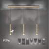 Suspension Paul Neuhaus PURE-VEGA LED Laiton, 9 lumières