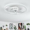 Ventilateur de plafond Oleiro LED Gris, Blanc, 1 lumière, Télécommandes