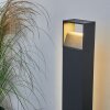 Borne lumineuse Dubona LED Anthracite, 1 lumière