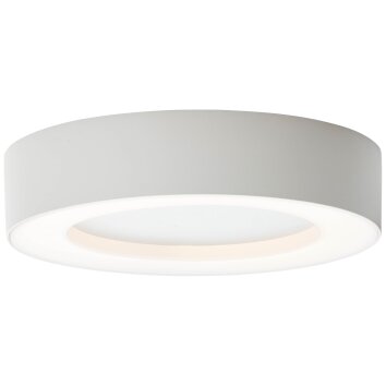 plafonnier extérieur Brillliant Whittaker LED Blanc, 1 lumière