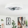 Ventilateur de plafond  Tirkkala LED Blanc, 1 lumière