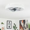 Ventilateur de plafond  Tirkkala LED Blanc, 1 lumière