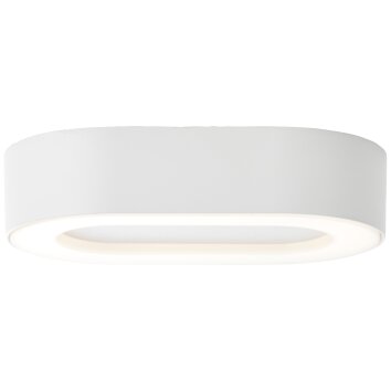 Applique murale d'extérieur Brilliant Whittaker LED Blanc, 1 lumière