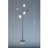 Lampadaire Fischer & Honsel Koi Noir, 5 lumières