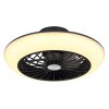 Ventilateur de plafond Globo LAFEE LED Noir, 1 lumière