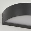 Applique murale d'extérieur  Fletcher LED Anthracite, 2 lumières