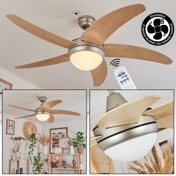 Ventilateur de plafond  Morino Écru, Nickel mat, 2 lumières, Télécommandes