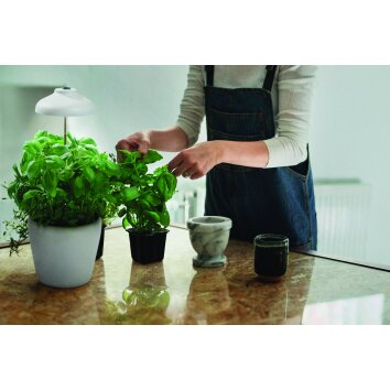 pieu de terre LEDVANCE Indoor Garden Blanc, 1 lumière