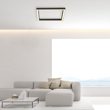 Plafonnier Paul-Neuhaus PURE-LINES LED Anthracite, 1 lumière, Télécommandes