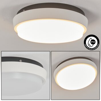 plafonnier extérieur  Centinela LED Anthracite, Blanc, 1 lumière