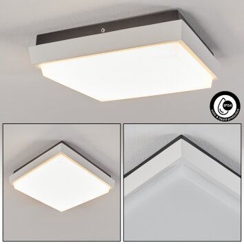 plafonnier extérieur  Gomero LED Anthracite, Blanc, 1 lumière