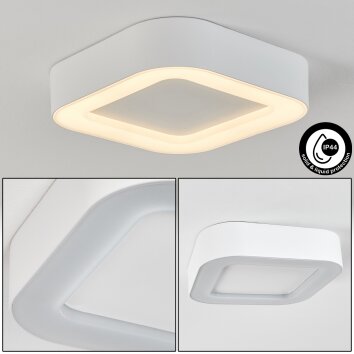 plafonnier extérieur  Paleroo LED Blanc, 1 lumière