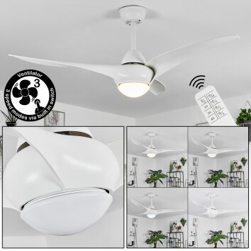 Ventilateur de plafond  Malloa LED Blanc, 1 lumière, Télécommandes