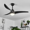 Ventilateur de plafond  Malloa LED Noir, 1 lumière, Télécommandes