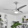 Ventilateur de plafond  Malloa LED Titane, 1 lumière, Télécommandes