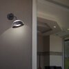 Applique murale d'extérieur Brilliant Matfen LED Noir, 1 lumière