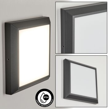 plafonnier extérieur  Alkmaar LED Anthracite, 1 lumière