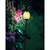 lampe solaire Eglo ANANAS LED Noir, 1 lumière