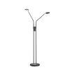 Lampadaire FHL easy Luna LED Noir, 2 lumières