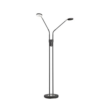 Lampadaire FHL easy Luna LED Noir, 2 lumières