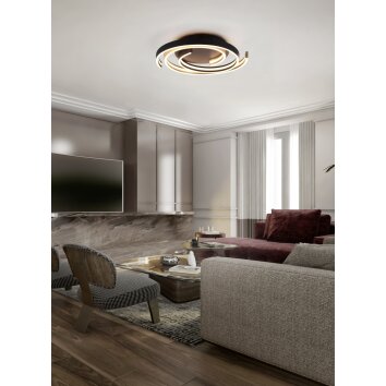 Plafonnier Trio Caya LED Laiton, Noir, 1 lumière