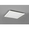 Plafonnier Reality Carus LED Blanc, 2 lumières