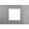 Plafonnier Reality Carus LED Blanc, 2 lumières