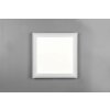 Plafonnier Reality Carus LED Blanc, 2 lumières