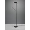 Lampadaire à vasque Trio Brantford LED Noir, 1 lumière