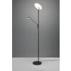 Lampadaire à vasque Trio Brantford LED Noir, 1 lumière