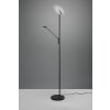 Lampadaire à vasque Trio Brantford LED Noir, 1 lumière